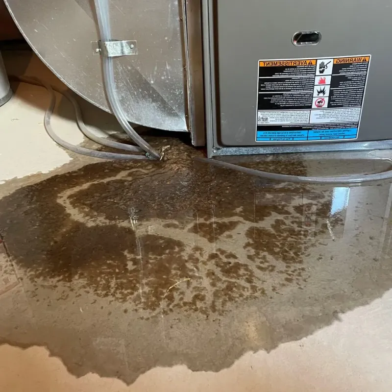 Pipe Burst and Leak Restoration in Fort Clark Springs, TX