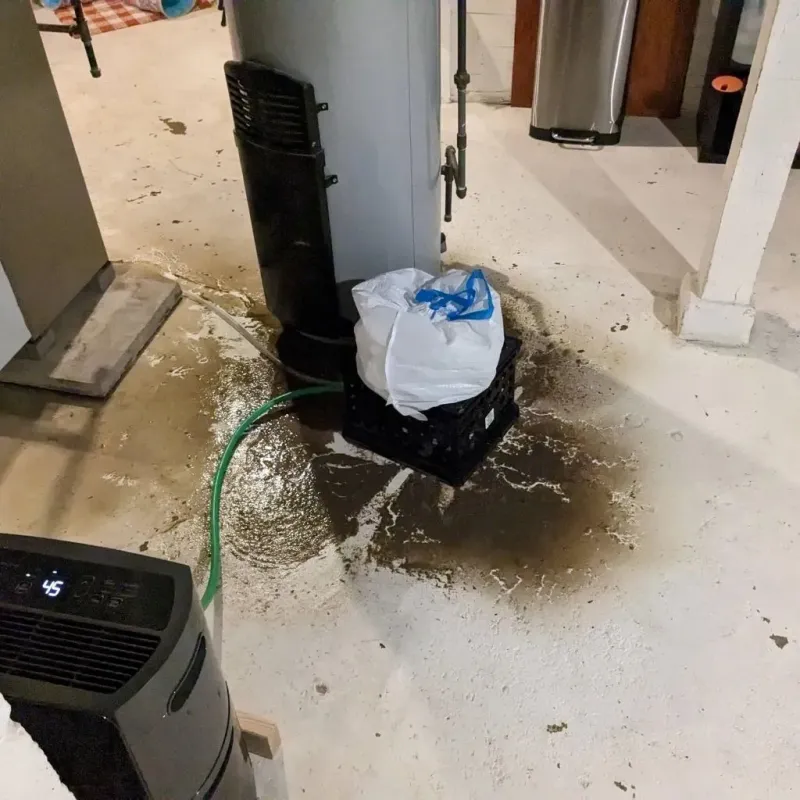 Sewage Backup Cleanup Service in Fort Clark Springs, TX